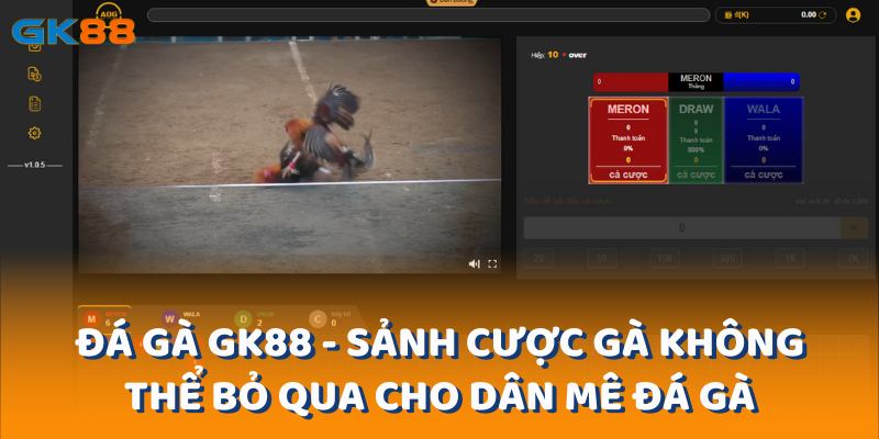 Đá gà gk88 - sảnh cược gà không thể bỏ qua cho dân mê đá gà