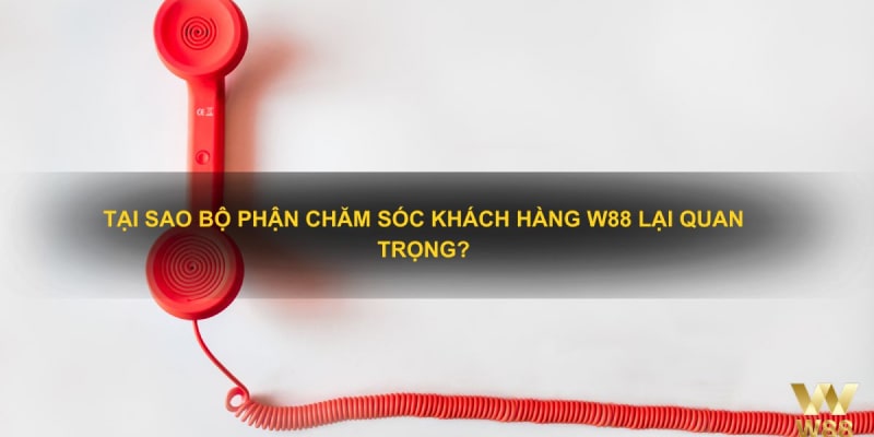 Tìm hiểu về dịch vụ chăm sóc khách hàng tại casino w88